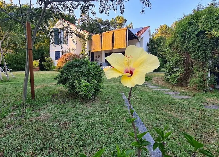 Playa Cabeiro * Porto do Son